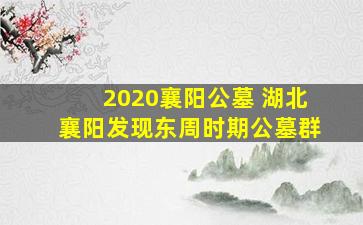 2020襄阳公墓 湖北襄阳发现东周时期公墓群